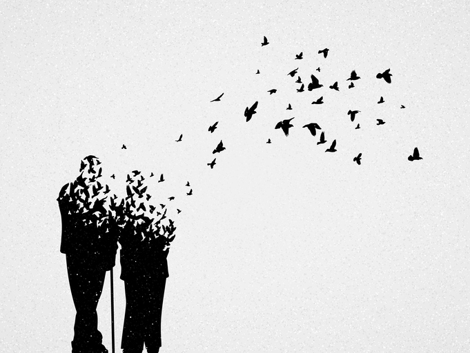Silhouette of elderly couple and flying birds